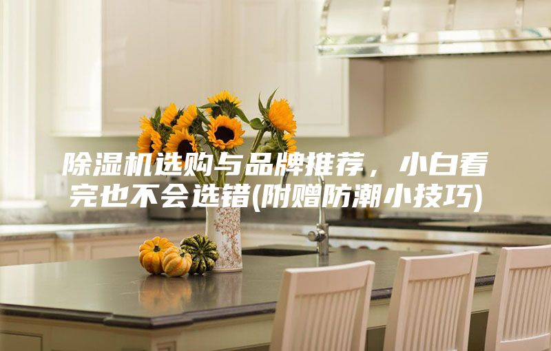 除湿机选购与品牌推荐,小白看完也不会选错(附赠防潮小技巧)