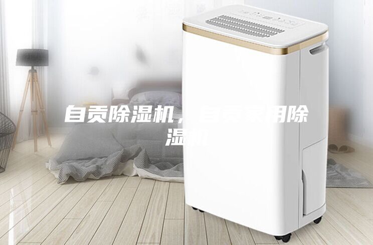 自贡除湿机，自贡家用除湿机