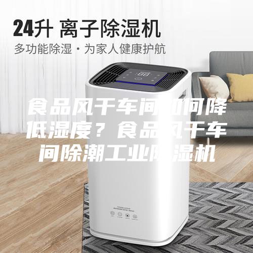 食品风干车间如何降低湿度？食品风干车间除潮工业除湿机