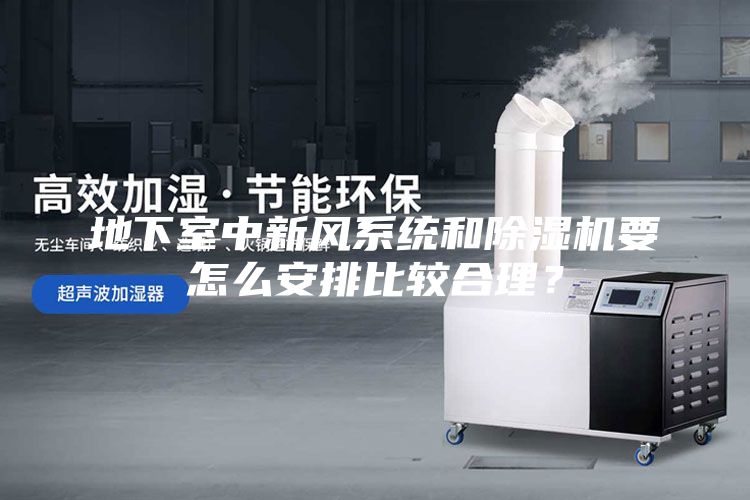 地下室中新风系统和除湿机要怎么安排比较合理？