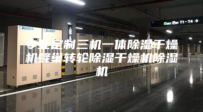 专业定制三机一体除湿干燥机蜂巢转轮除湿干燥机除湿机