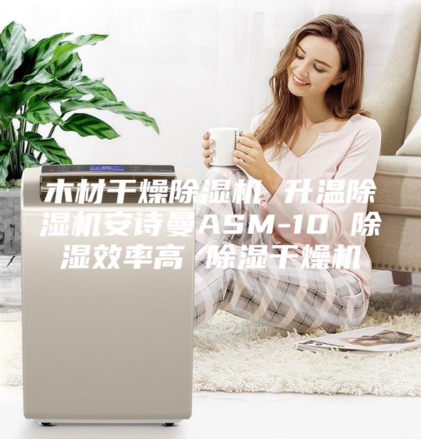 木材干燥除湿机 升温除湿机安诗曼ASM-10 除湿效率高 除湿干燥机