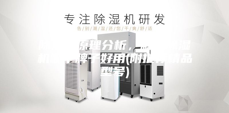 除湿机原理分析，解读除湿机哪个牌子好用(附推荐精品型号)