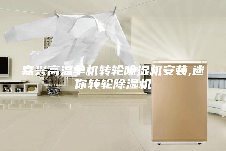 嘉兴高温单机转轮除湿机安装,迷你转轮除湿机