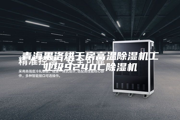 青海果洛烘干房高温除湿机工业级9240C除湿机