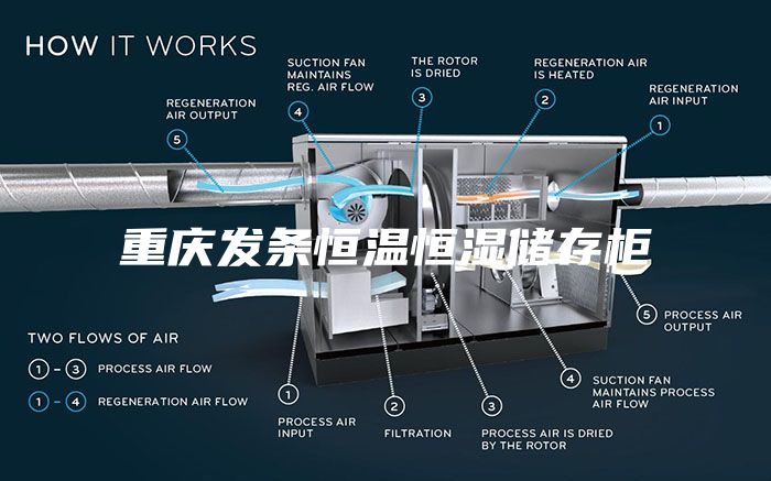 重庆发条恒温恒湿储存柜