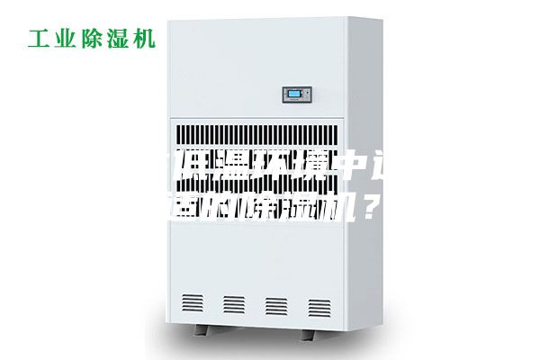 如何在低温环境中选择合适的除湿机？