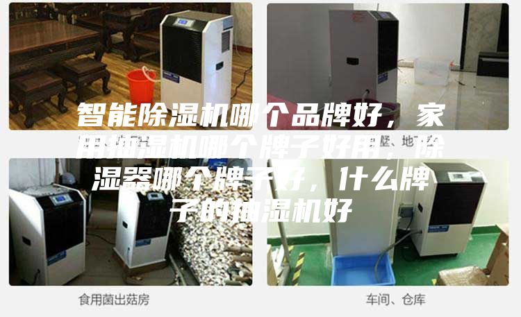 智能除湿机哪个品牌好，家用抽湿机哪个牌子好用，除湿器哪个牌子好，什么牌子的抽湿机好