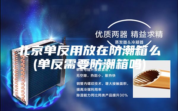 北京单反用放在防潮箱么(单反需要防潮箱吗)