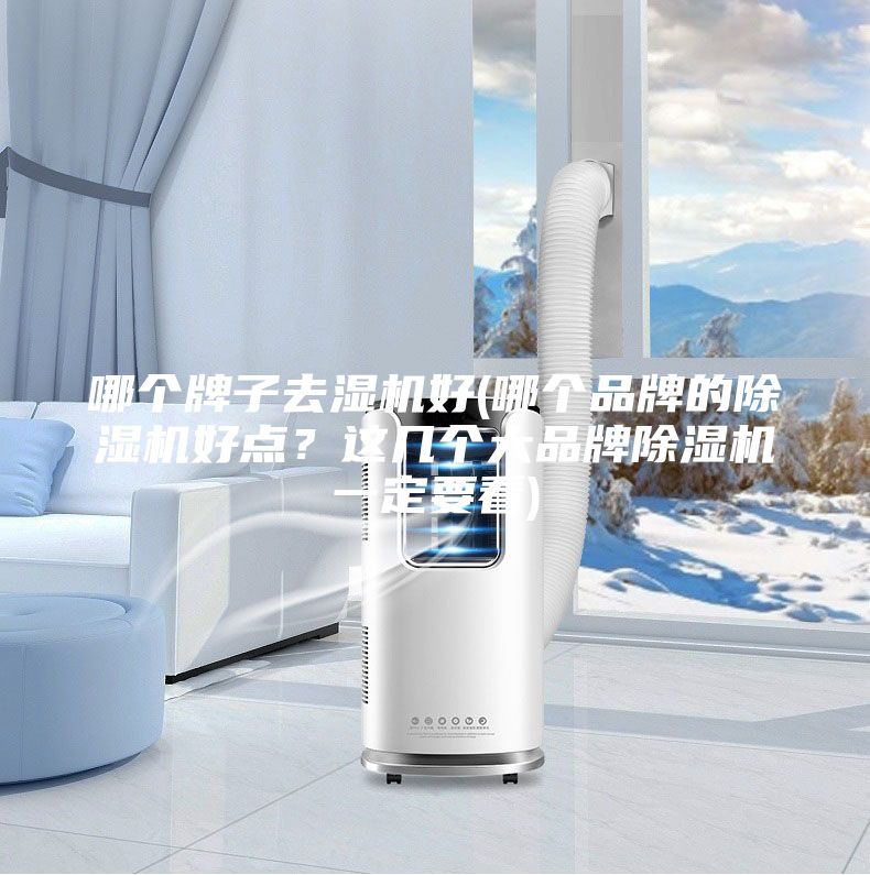 哪个牌子去湿机好(哪个品牌的除湿机好点？这几个大品牌除湿机一定要看)