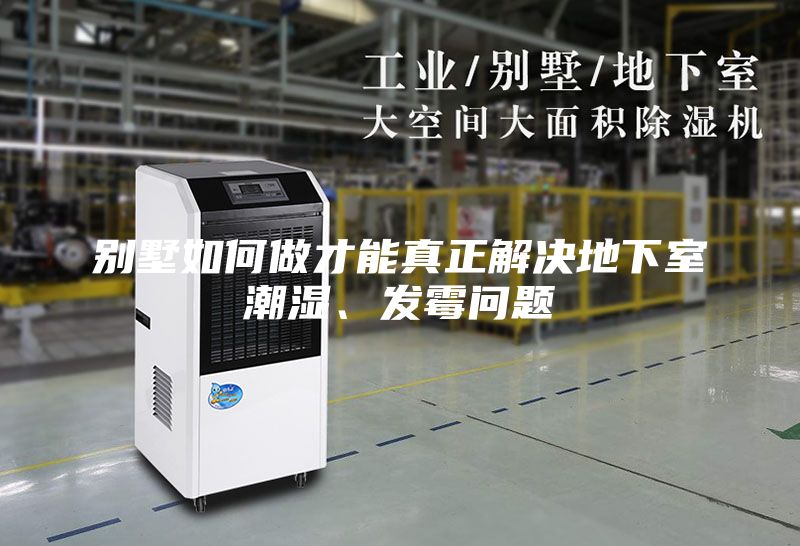 别墅如何做才能真正解决地下室潮湿、发霉问题