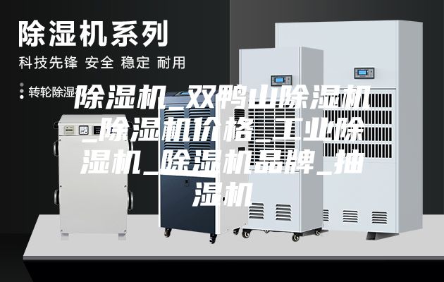 除湿机_双鸭山除湿机_除湿机价格_工业除湿机_除湿机品牌_抽湿机