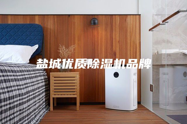 盐城优质除湿机品牌