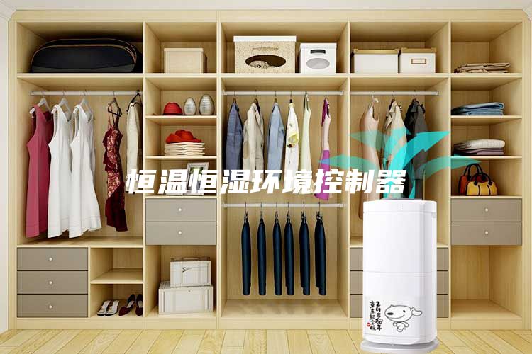 恒温恒湿环境控制器