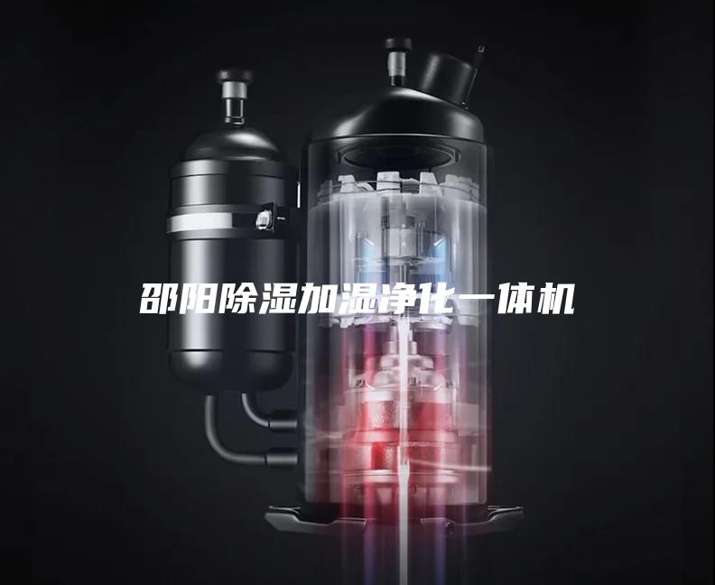 邵阳除湿加湿净化一体机