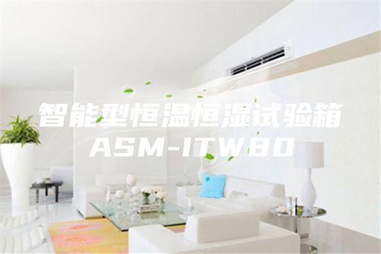 智能型恒温恒湿试验箱ASM-ITW80
