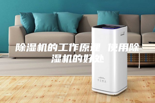 除湿机的工作原理 使用除湿机的好处
