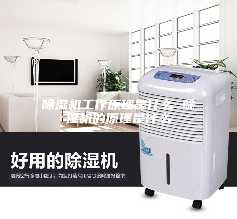 除湿机工作原理是什么 除湿机的原理是什么