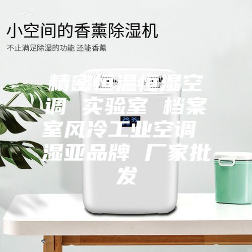 精密恒温恒湿空调 实验室 档案室风冷工业空调 湿亚品牌 厂家批发