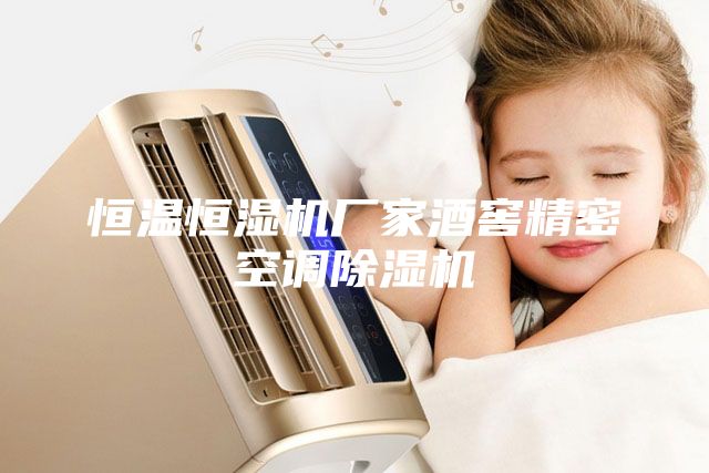 恒温恒湿机厂家酒窖精密空调除湿机