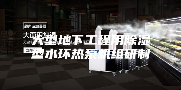 大型地下工程用除湿型水环热泵机组研制