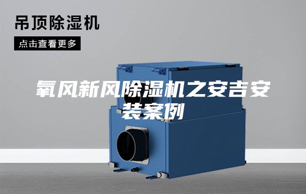 氧风新风除湿机之安吉安装案例