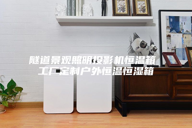 隧道景观照明投影机恒温箱 工厂定制户外恒温恒湿箱