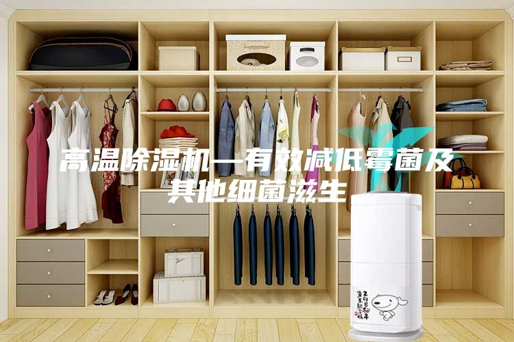 高温除湿机—有效减低霉菌及其他细菌滋生