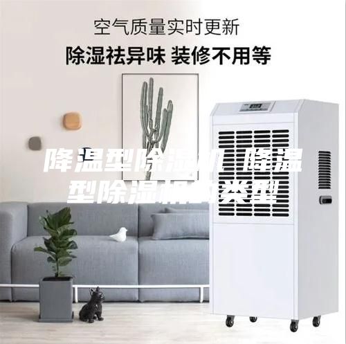 降温型除湿机─降温型除湿机的类型