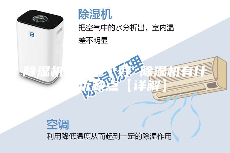 除湿机品牌哪个好 除湿机有什么优缺点【详解】