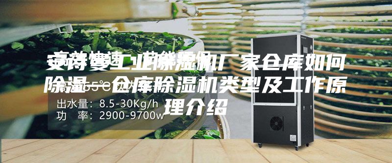 安诗曼工业除湿机厂家仓库如何除湿—仓库除湿机类型及工作原理介绍