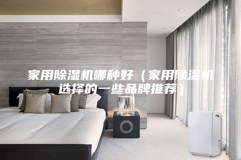 家用除湿机哪种好（家用除湿机选择的一些品牌推荐）