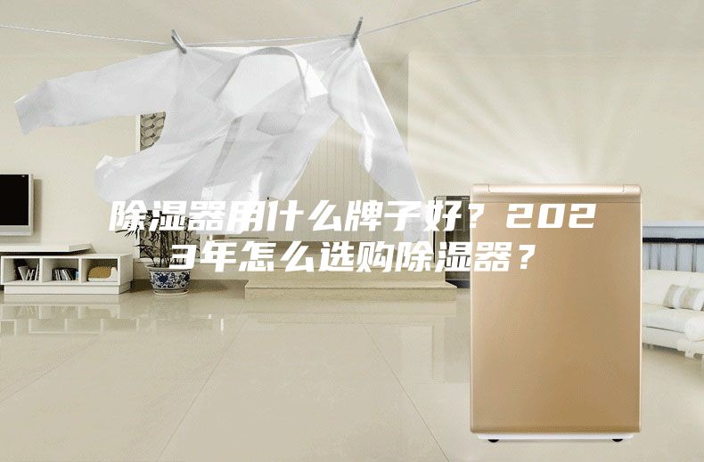 除湿器用什么牌子好？2023年怎么选购除湿器？