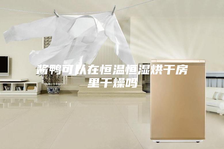 酱鸭可以在恒温恒湿烘干房里干燥吗