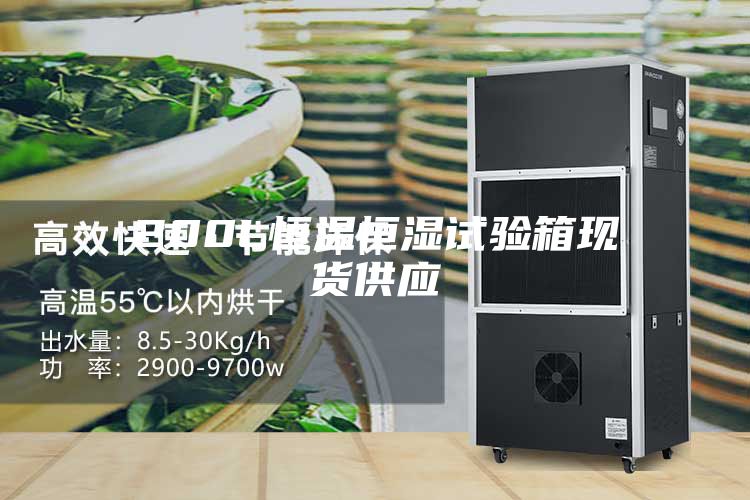 200L恒温恒湿试验箱现货供应