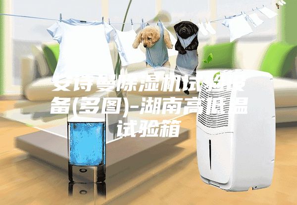 安诗曼除湿机试验设备(多图)-湖南高低温试验箱