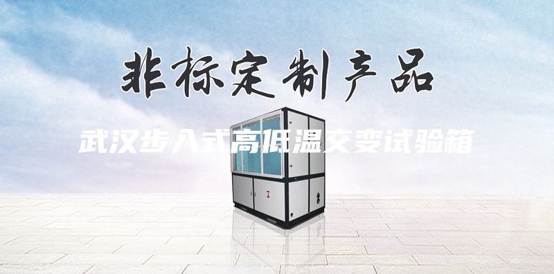 武汉步入式高低温交变试验箱