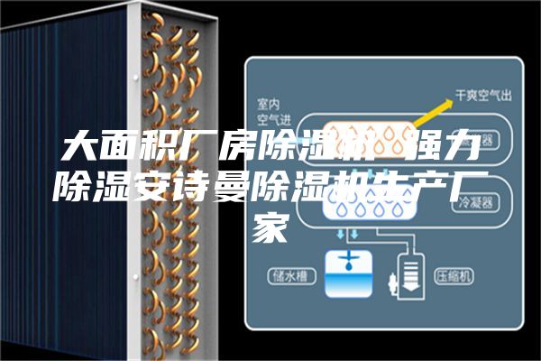 大面积厂房除湿机 强力除湿安诗曼除湿机生产厂家