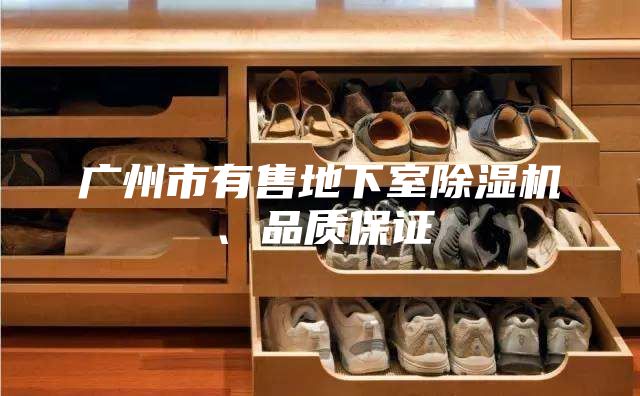 广州市有售地下室除湿机、品质保证