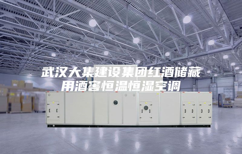 武汉大集建设集团红酒储藏用酒窖恒温恒湿空调