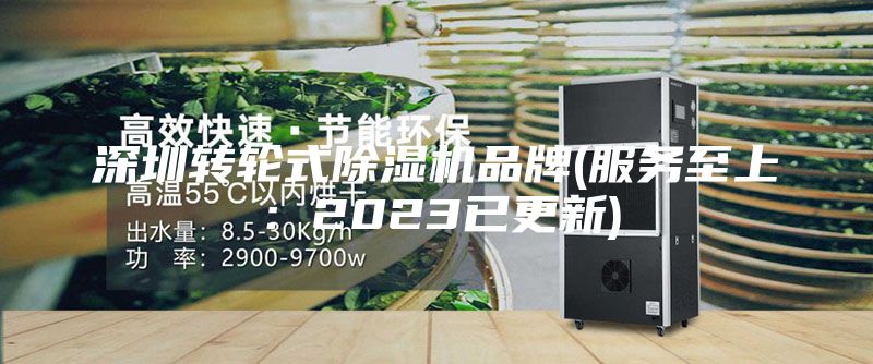 深圳转轮式除湿机品牌(服务至上：2023已更新)