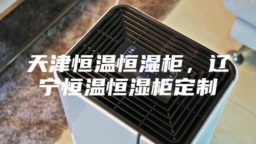 天津恒温恒湿柜，辽宁恒温恒湿柜定制