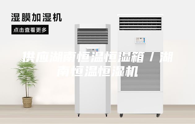 供应湖南恒温恒湿箱／湖南恒温恒湿机