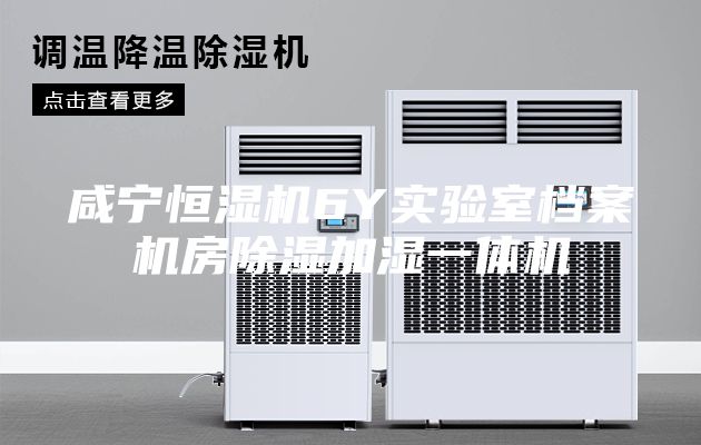 咸宁恒湿机6Y实验室档案机房除湿加湿一体机