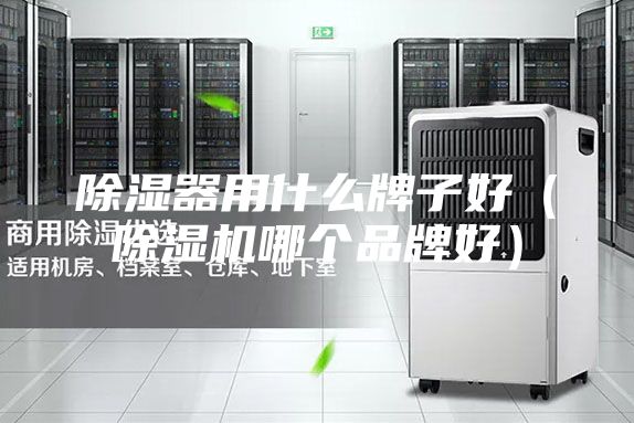 除湿器用什么牌子好（除湿机哪个品牌好）