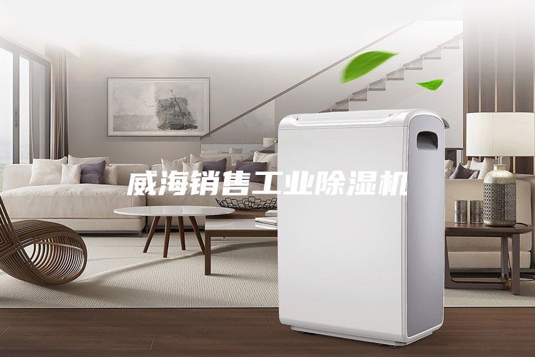 威海销售工业除湿机