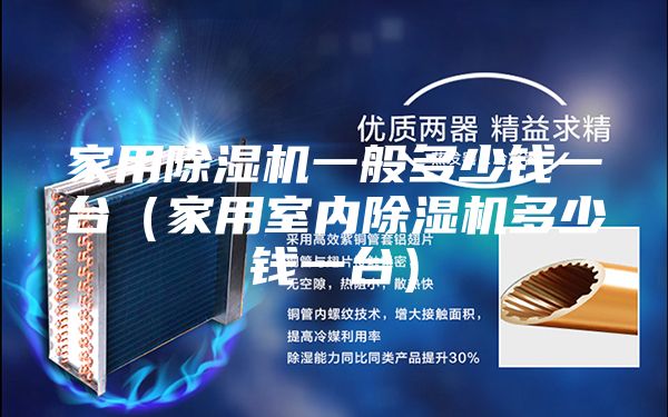 家用除湿机一般多少钱一台（家用室内除湿机多少钱一台）