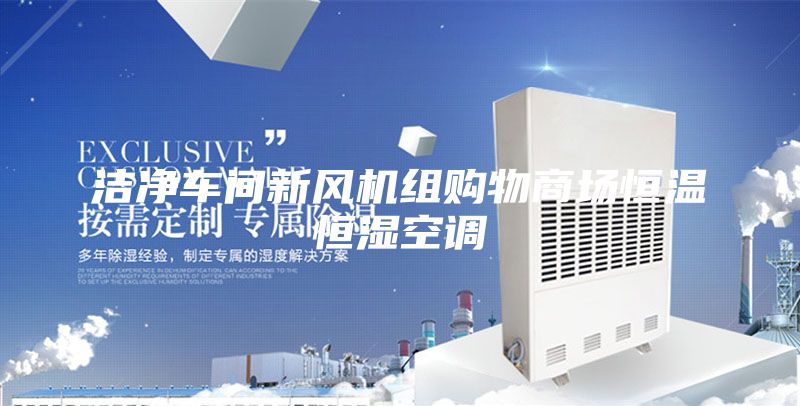 洁净车间新风机组购物商场恒温恒湿空调