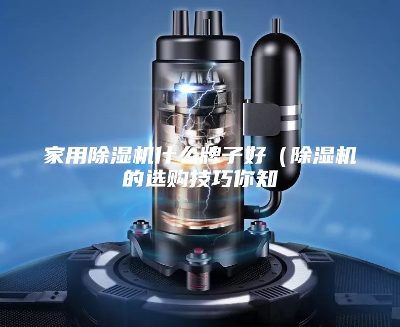 家用除湿机什么牌子好（除湿机的选购技巧你知