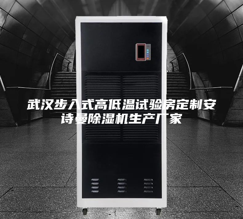 武汉步入式高低温试验房定制安诗曼除湿机生产厂家
